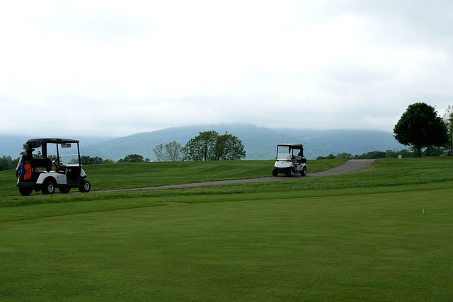 Putting green met vlag en zachte schaduwen